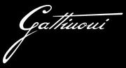 Gattinoni